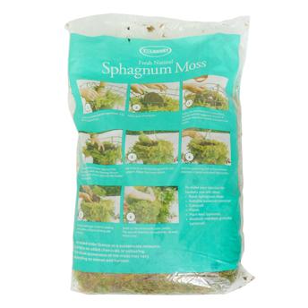 Buy Tildenet Fresh Natural Sphagnum Moss Bag Online in Dubai & the UAE|ACE