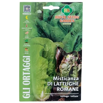 Buy Royal Seeds Romaine Lettuce Seed Pack (6 g) Online in Dubai & the ...