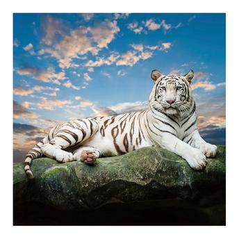 Buy Danube Home Diana Tempered Glass White Tiger Wall Art (80 x 80 x 0. ...