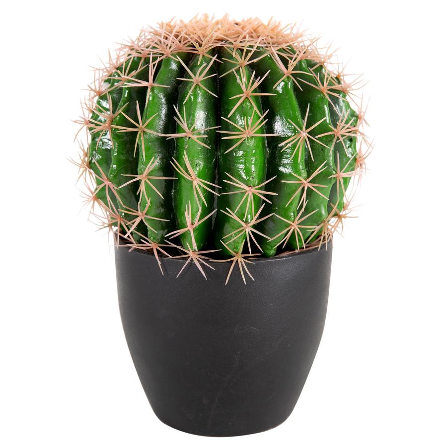 Living Space Artificial UV Cactus Plant W/Pot (28 cm)