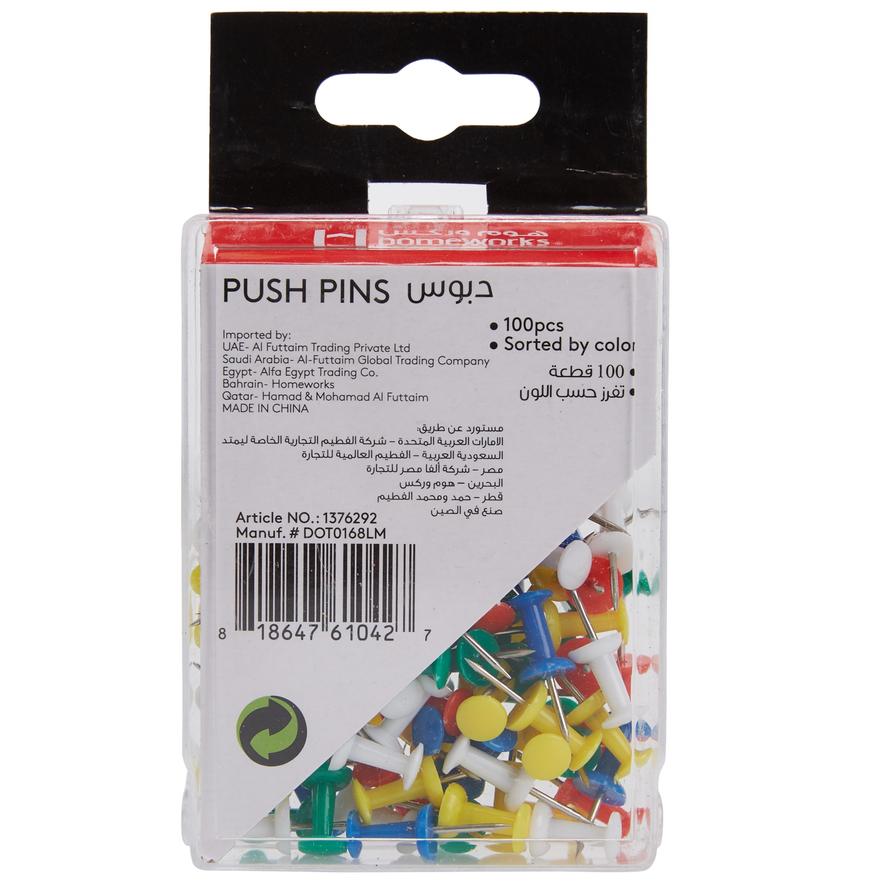 Homeworks Push Pins (100 pcs)