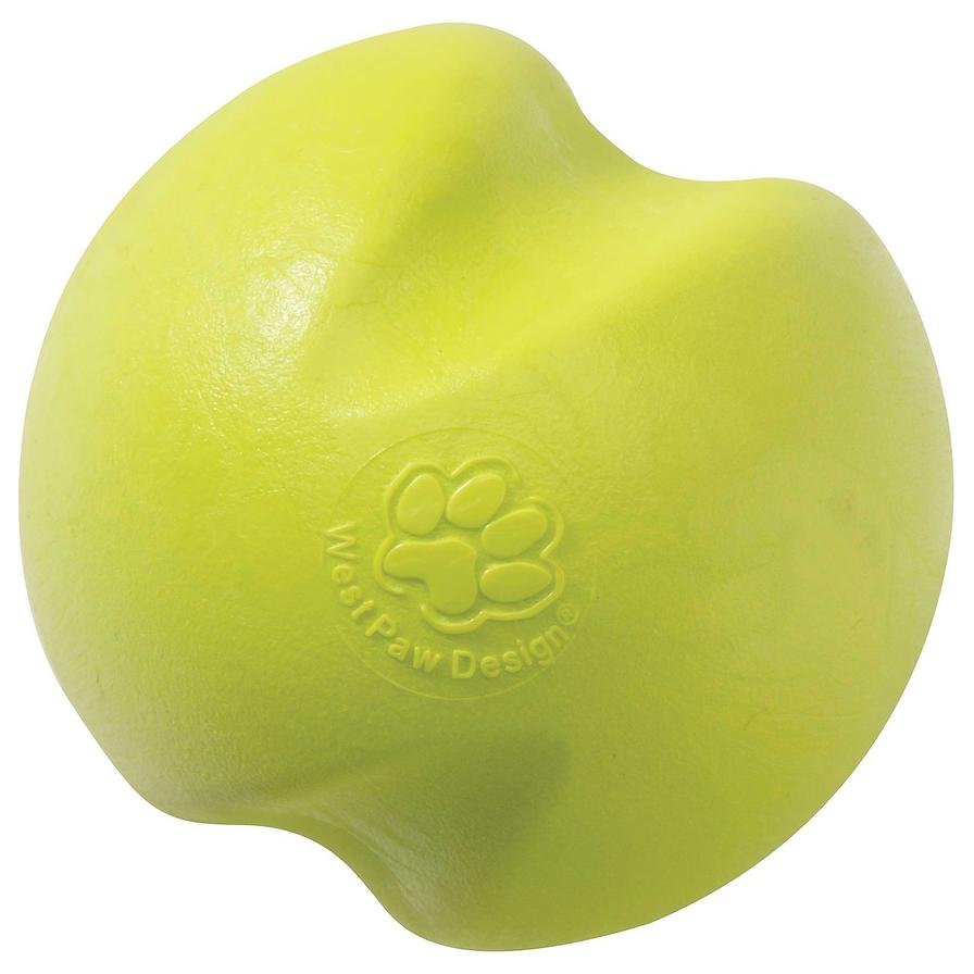 Green squeaky best sale dog ball