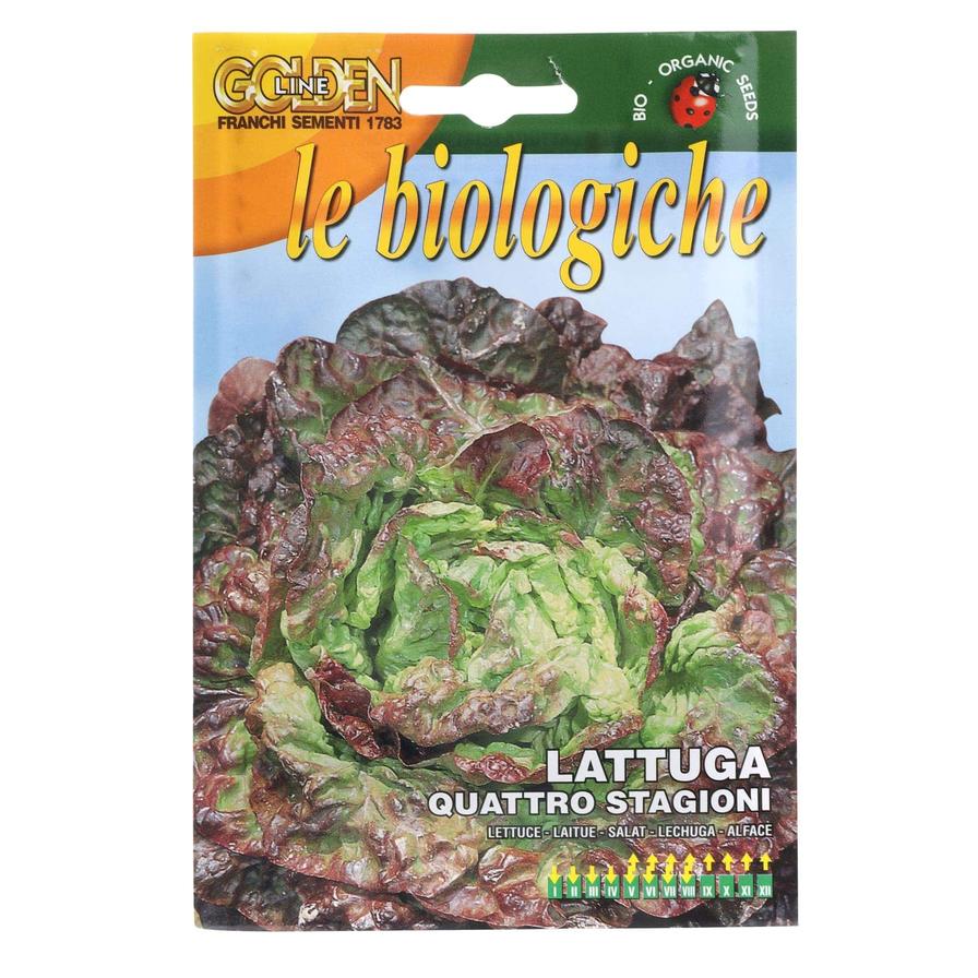 Franchie Biologica Lettuce 
