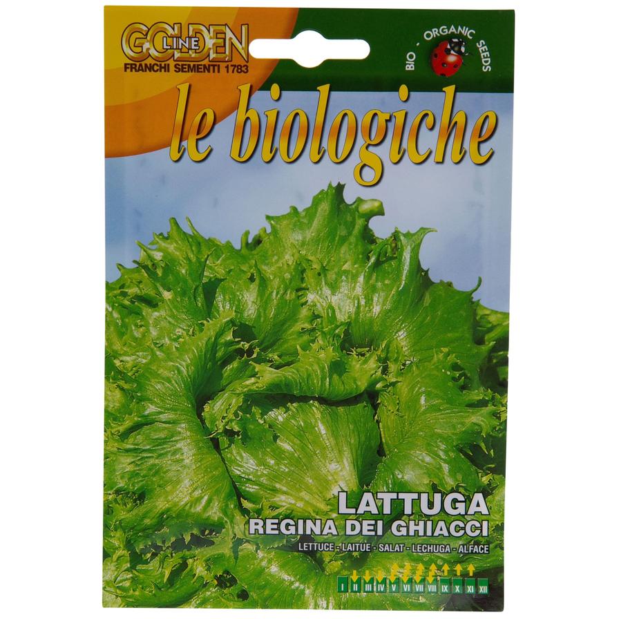 Franchi Golden Line Le Biologiche Organic Seeds (Lattuga Regina Dei Ghiacci)