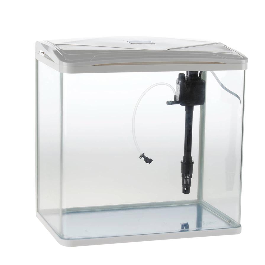 Oval clearance fish tank