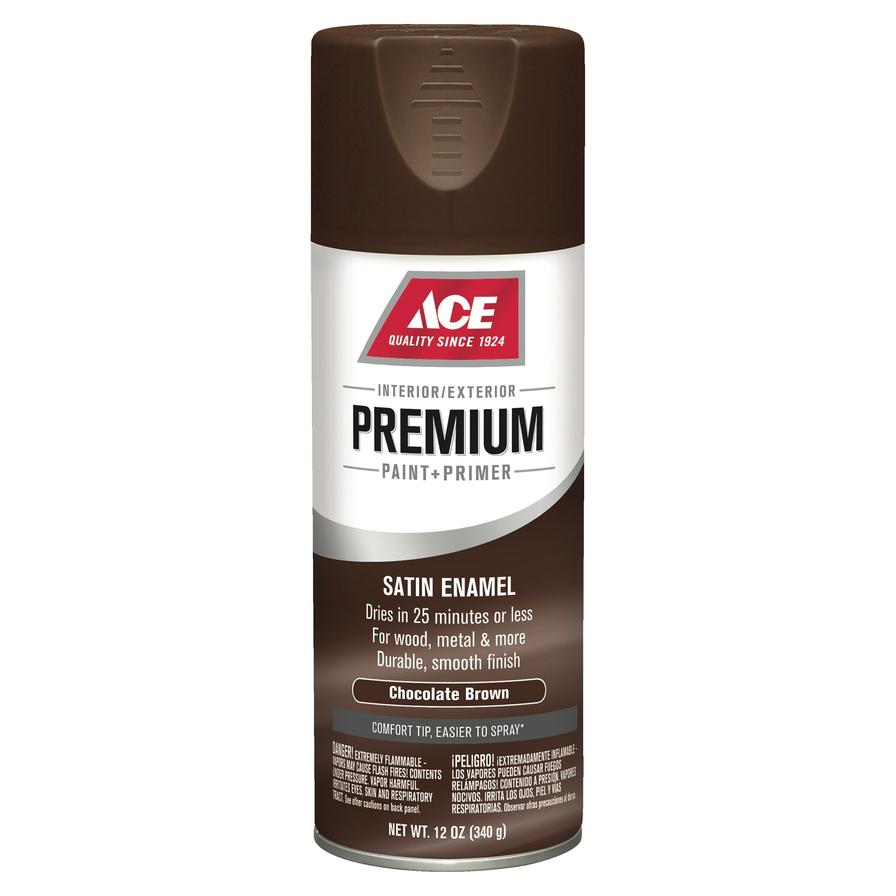 Buy Ace Premium Paint + Primer Satin Enamel Spray Paint (340 g ...