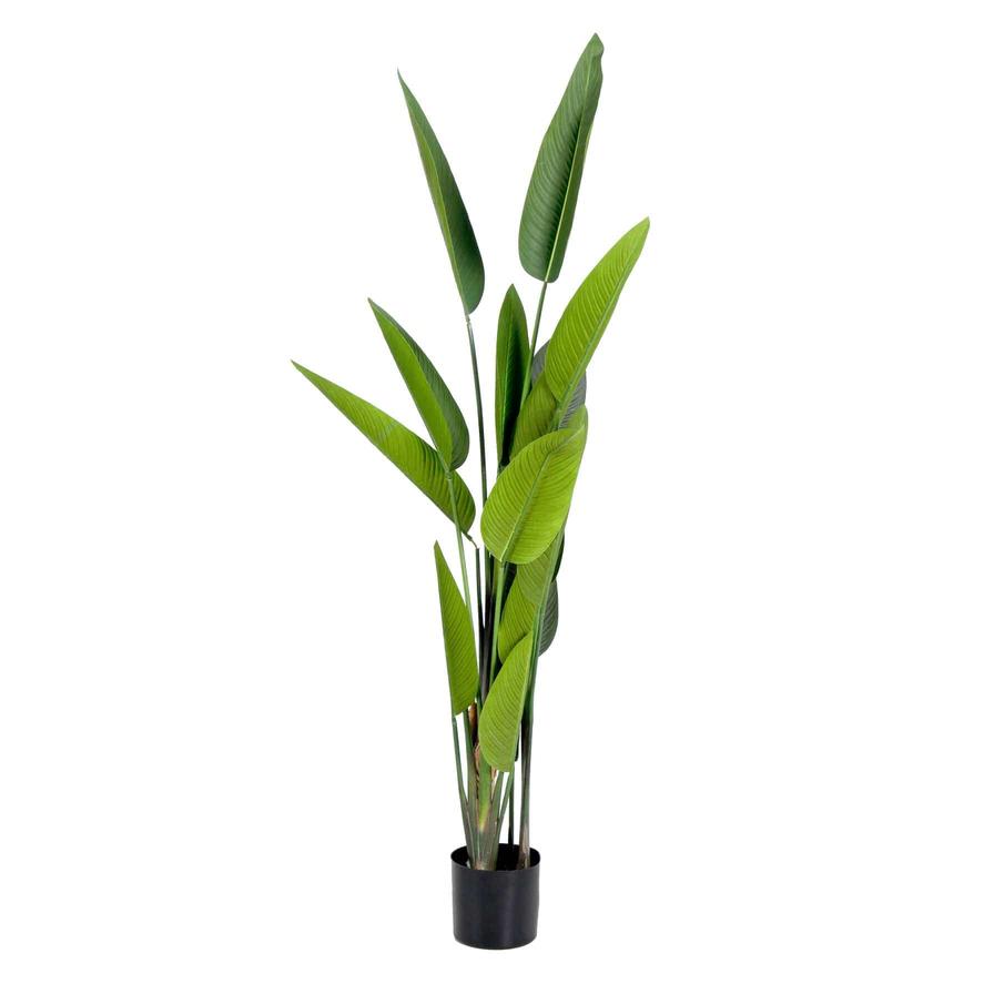 Mr Plant Strelitzia Artificial Tree W/Black Pot (30 x 30 x 185 cm)