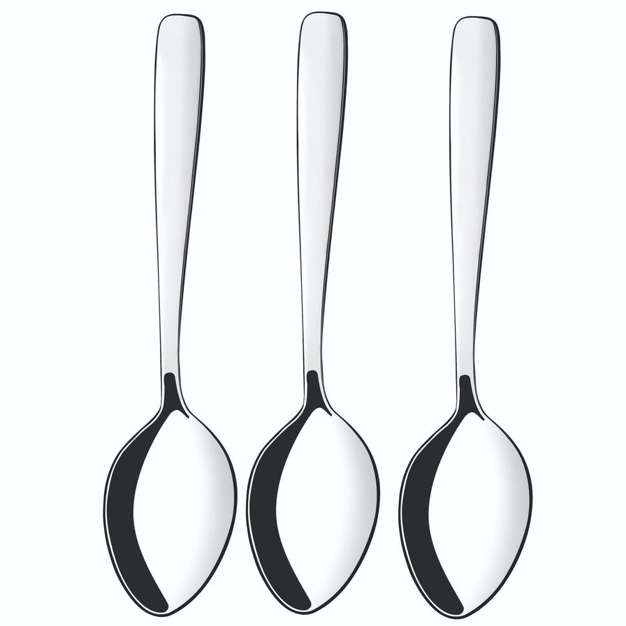 Tramontina Amazonas Stainless Steel Table Spoon Set (19 x 4.5 x 2.2 cm, 3 Pc.)