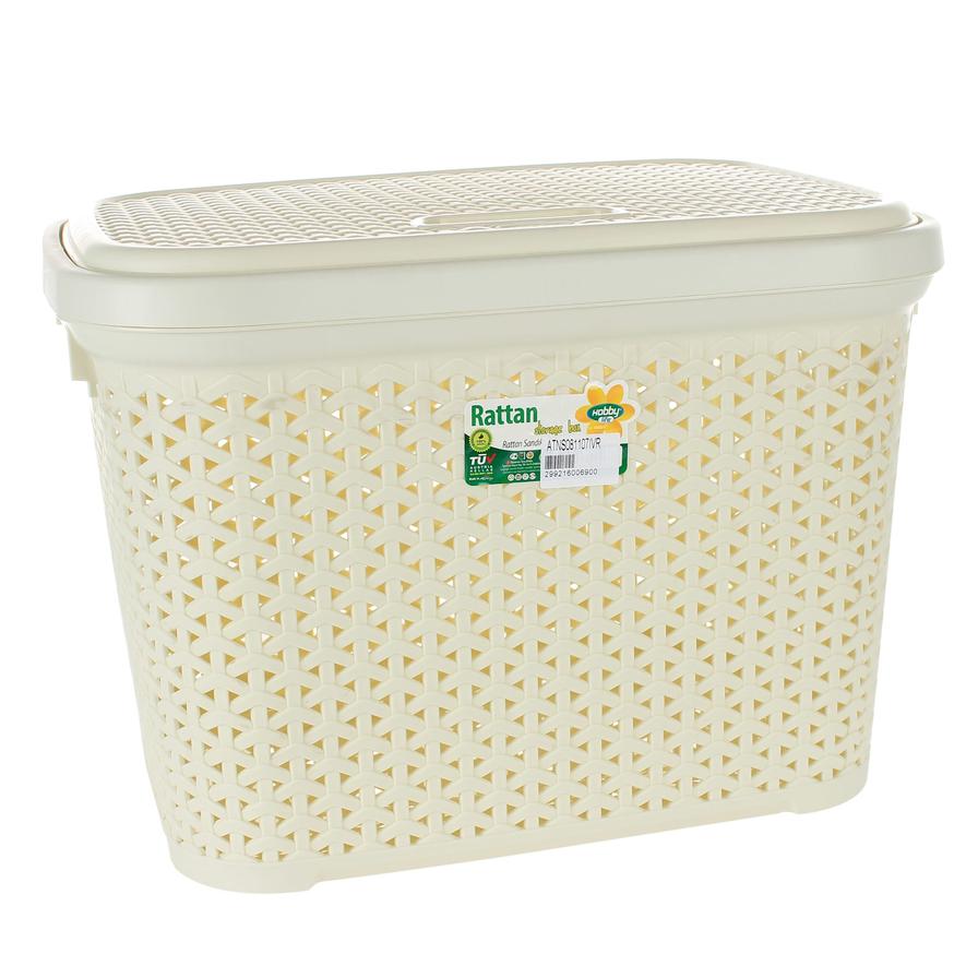 Hobby Life Plastic Ratan Design Storge Box W/Lid (30 L, 33.5 x 44.5 x 31.6 cm)