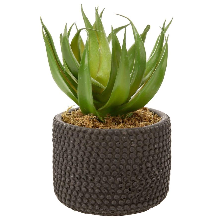 Artificial Potted Aloe Plant (20 cm, Green)