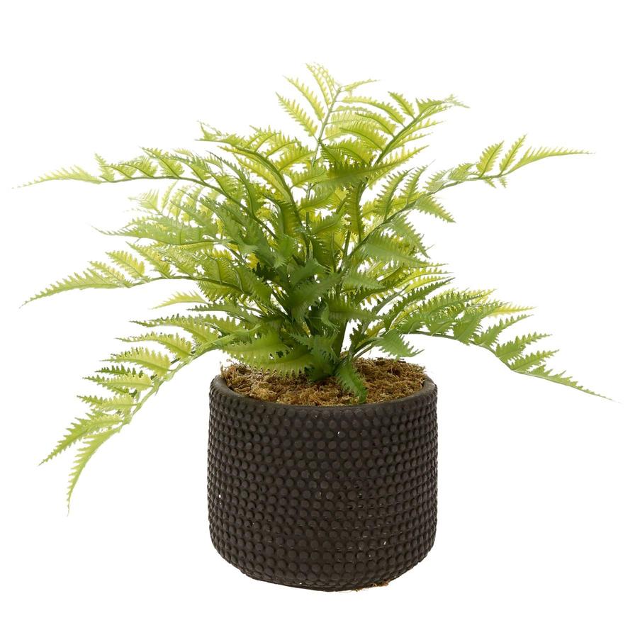 Artificial Potted Fern  (45 cm)