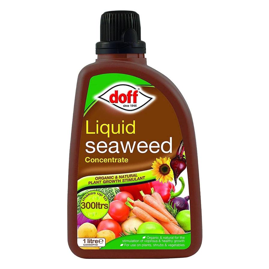 Doff Liquid Seaweed Plant Feed (1 L)