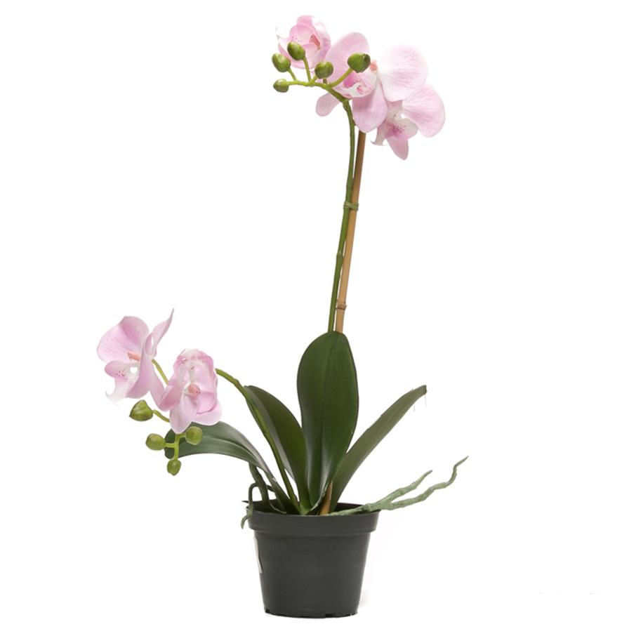 Artificial Potted Phalaenopsis (Purple)