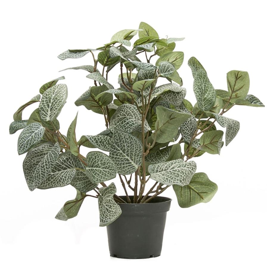 Fittonia Artificial Potted Plant