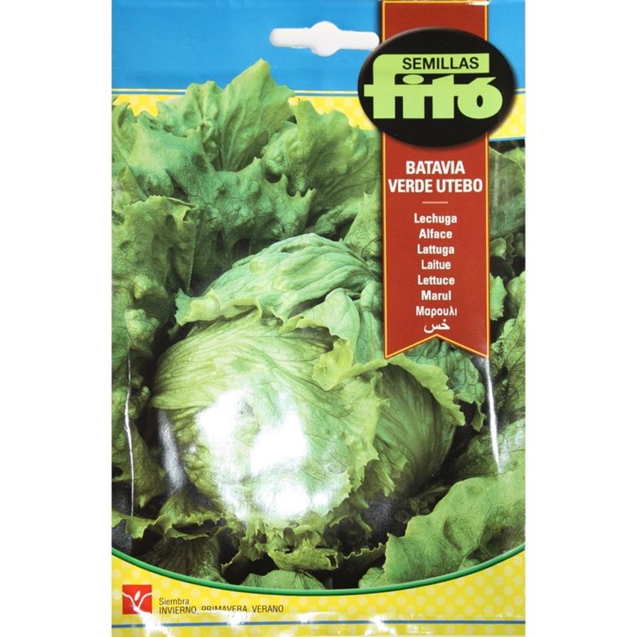 Semillas Fito Lettuce 'Webbs Wonderful' Seeds