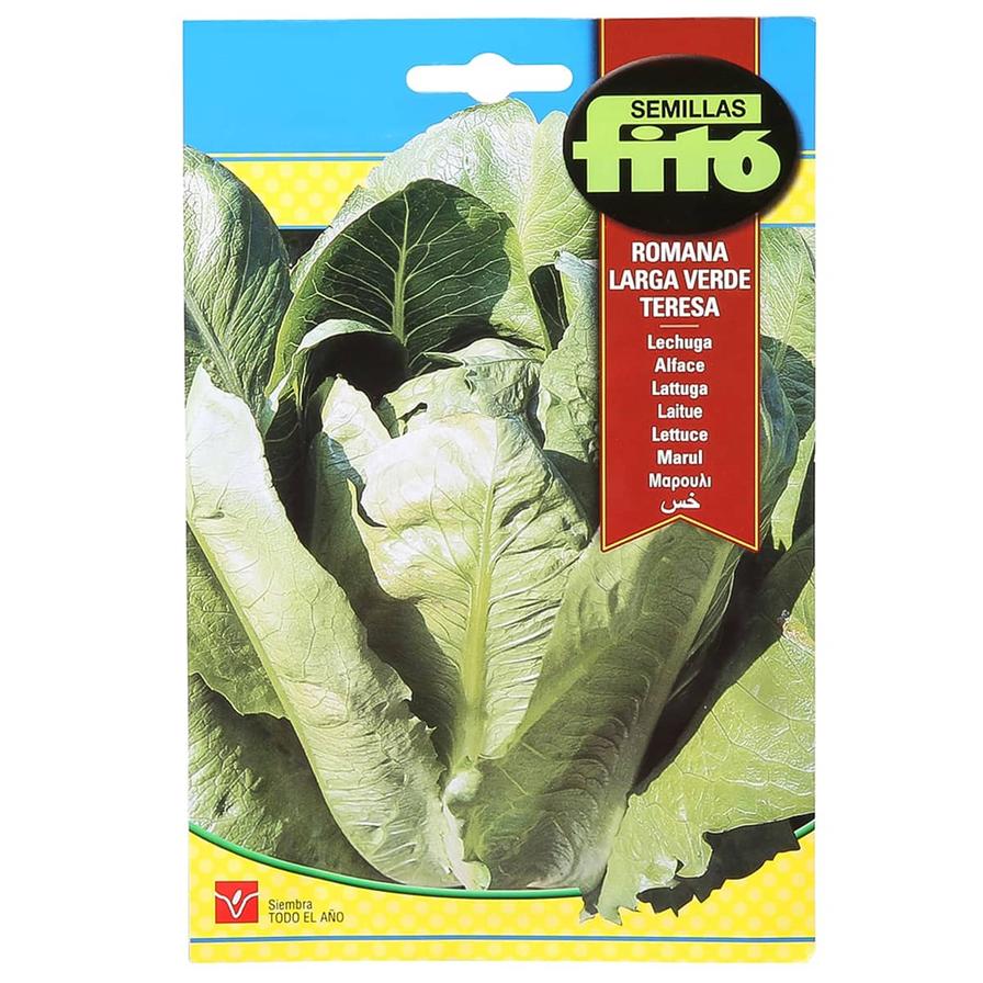 Fito Lettuce Romana Larga Verde (8 g)