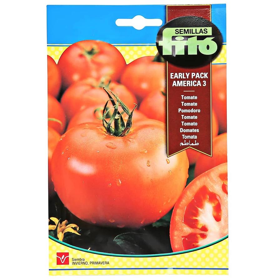 Fito Tomato Early Pack America (3 g)