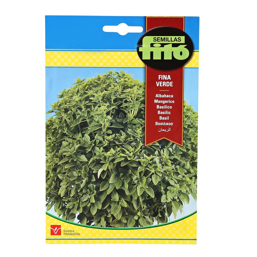 Semillas Fito Basil Fine Leafed