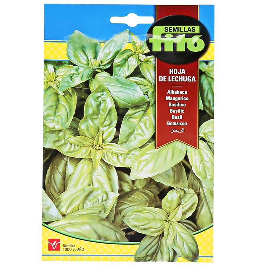 Fito Basil Leaf of Lettuce (5 g)