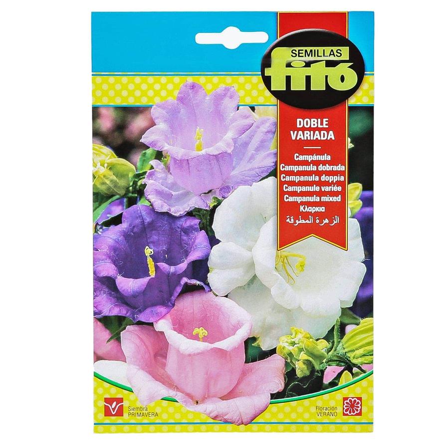 Semillas Fito Campanula Mixed