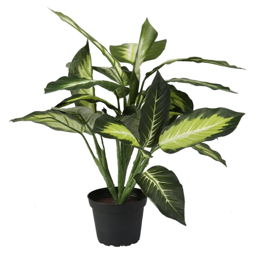 Dieffenbachia Green Artificial Plant