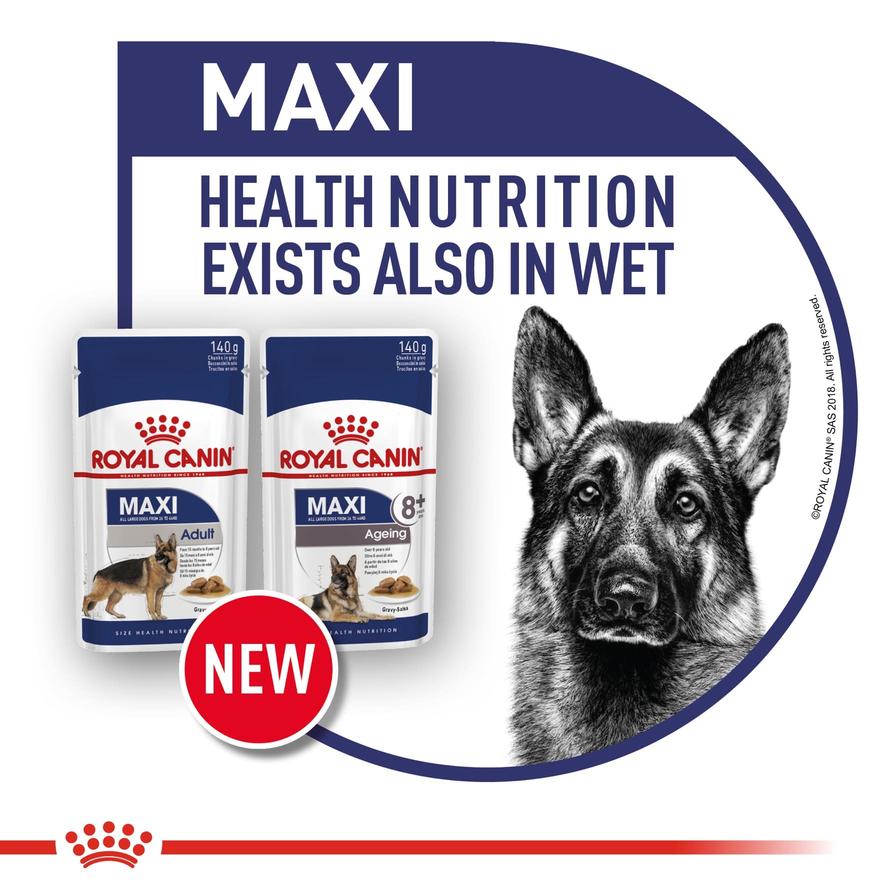 Shop Royal Canin Maxi Adult Health Nutrition Dog Food (15 kg