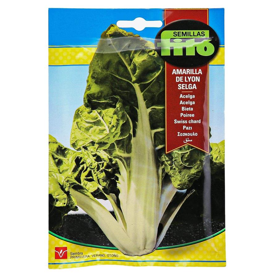 Fito Yello Swiss-Chard fom Lyon