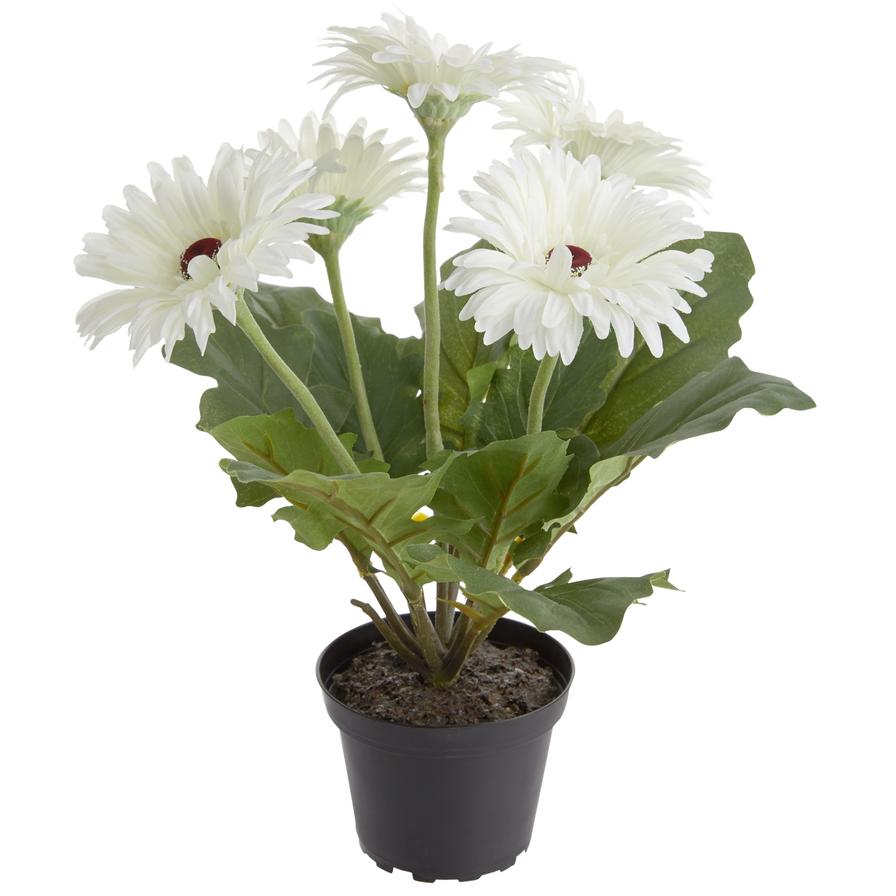 Artificial Gerbera Plant (White)