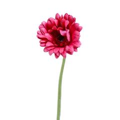 Danube Home Rejoice Pink Gerbera Daisy Artificial Flower Stem (61 cm)