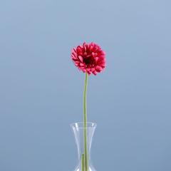 Danube Home Rejoice Pink Gerbera Daisy Artificial Flower Stem (61 cm)