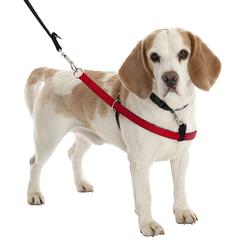 Company Of Animals Walkezee Harness (X Small)
