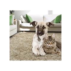 Zero In Home Flea Powder (300 g)