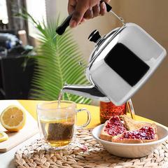 Raj Stainless Steel Tea Kettle (5 L)