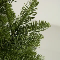Nobilis Fir Fresh Christmas Tree (6-7 ft)
