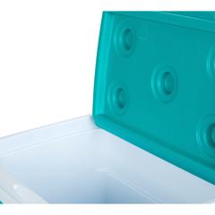 Cosmoplast KeepCold Picnic Ice Box (20 L)