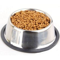 Hilo Stainless Steel Non-Skid Feeding Dish (473 ml)