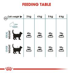 طعام قطط جاف للعناية بالشعر رويال كانين (للقطط البالغة، 2 كيلوجرام)