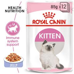 Royal Canin Feline Health Nutrition Instinctive Wet Cat Food (Jelly, Kittens, 85 g)
