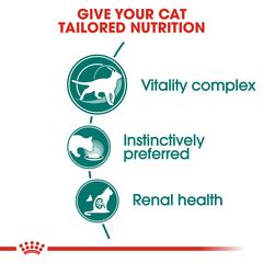 Royal Canin Feline Health Nutrition Instinctive Wet Cat Food (Gravy, Adult Cats, 85 g)