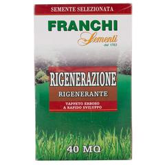 Franchie Grass Seeds Loietto Inglese