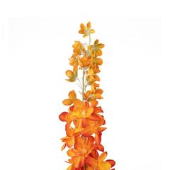 Delphinium Single Stem Flower (88 cm, Orange)