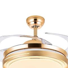 Danube Home Enticer Acrylic Ceiling Fan Chandelier (50 x 42 x 50 cm)