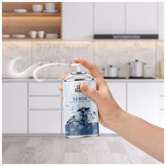 Dr Scent Aerosol Spray (300 ml, Sense)