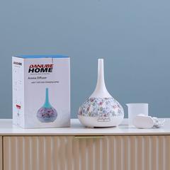 Danube Home Electric Aroma Diffuser (300 ml, 24 x 15 cm)