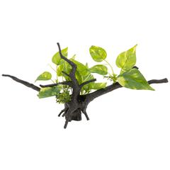 Chicos Driftwood Plant (34 x 15.5 cm)