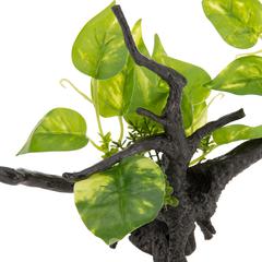 Chicos Driftwood Plant (34 x 15.5 cm)