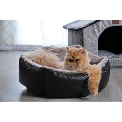 Pan Emirates Hexa Faux Fur Pet Bed (55 x 55 x 18 cm)