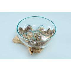 Pan Emirates Thy Wood & Glass Terrarium (25 x 25 x 15 cm)
