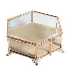 Danube Home Caroline Metal Glass & Velvet Jewellery Box (24 x 24 x 9 cm)