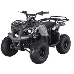 Myts Quad ATV Bike W/Reverse For Kids (150 cc, Black)